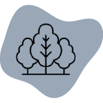 Sewage Treatment Plant